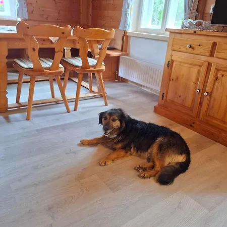 Zuhaus Stallehen Vakantieboerderij Reith bei Kitzbühel