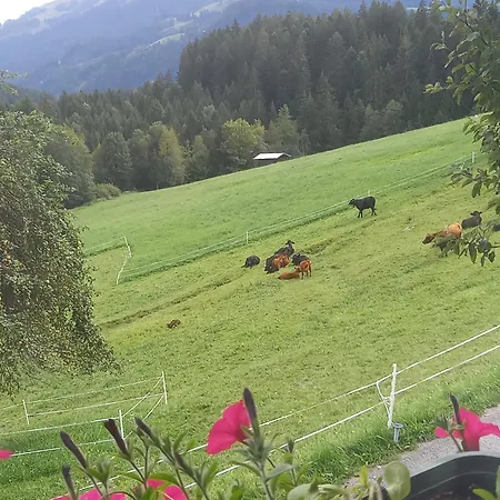 Zuhaus Stallehen Vakantieboerderij